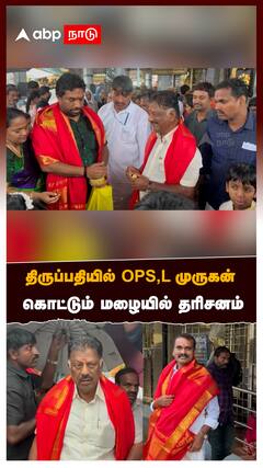 திருப்பதியில் OPS,L முருகன் கொட்டும் மழையில் தரிசனம் தேங்காய் உடைத்து பூஜை:OPS , L Murugan