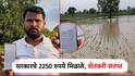 अतिवृष्टीची मदत 2,500 रुपये जमा; शेतकऱ्याने मोबाईलमधील मेसेज दाखवा; बळीराजाचा संताप, हेक्टरी 50,000 द्या
