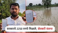 अतिवृष्टीची मदत 2,500 रुपये जमा; शेतकऱ्याने मोबाईलमधील मेसेज दाखवा; बळीराजाचा संताप, हेक्टरी 50,000 द्या