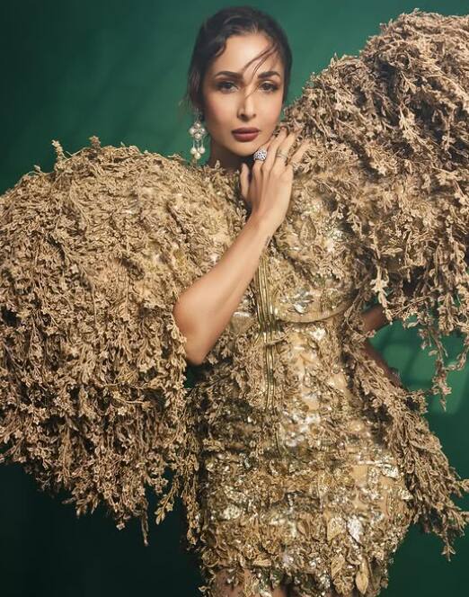 Malaika Arora seems to be Mallika of Husn, seeing her beauty, it seems that there is no effect of aging on her.