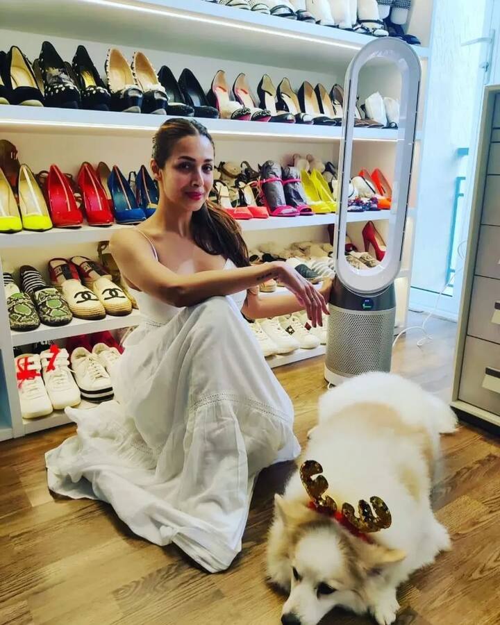 मलाइका अरोड़ा – बॉलीवुड की खूबसूरत एक्ट्रेस मलाइका अरोड़ा फिल्मों में कम एक्टिव होकर भी लग्जरी लाइफ जीती हैं. एक्ट्रेस का वॉर्डरोब एरिया भी काफी बड़ा और सुंदर है. इसकी झलक वो कई बार फैंस के साथ शेयर कर चुकी हैं.