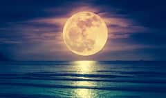 Kojagiri Purnima 2025 : कोजागिरी पौर्णिमेच्या दिवशी 'या' वस्तू करा दान, धन-संपत्तीत होईल भरभराट!