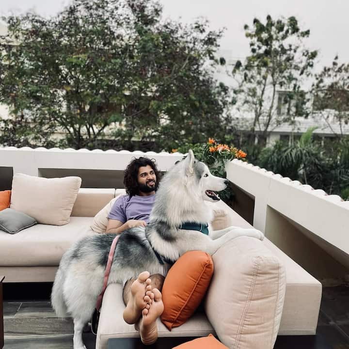 The terrace of Vijay's house has green plants and comfortable seating arrangements. Vijay often spends time with his dog here.