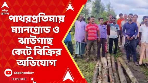 পাথরপ্রতিমায় বঙ্গোপসাগর লাগোয়া বাঁধে ম্যানগ্রোভ কেটে বিক্রির অভিযোগ TMC -র বিরুদ্ধে