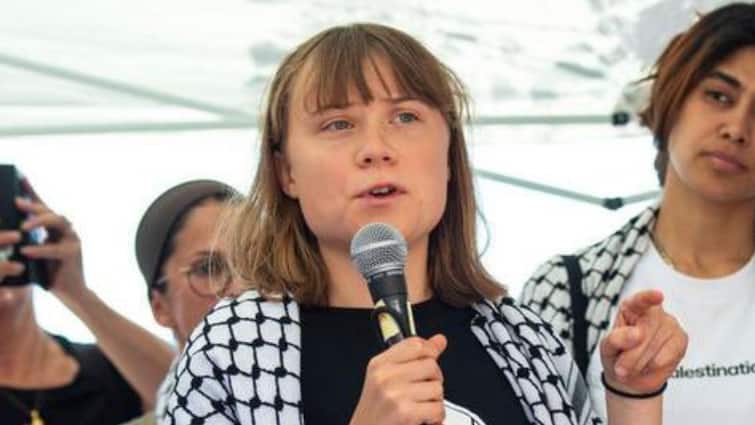 <div>'Bug-Infested Cell; Little Food, Water': Thunberg Alleges Harsh Treatment In Israeli Custody</div>