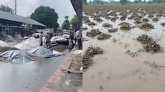 जोधपुर में बेमौसम बारिश ने किसानों की उम्मीदों पर फेरा पानी, खेतों में खड़ी फसलें हुईं खराब