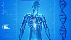 ये है दुनिया का पहला कैमरा जो शरीर के अंदर की भी फोटो खींच सकता है, जानिए क्या है टेक्नोलॉजी