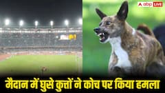 पूरे स्टेडियम में मचा हड़कंप! आवारा कुत्तों ने कोचों पर किया हमला, तुरंत अस्पताल ले जाया गया