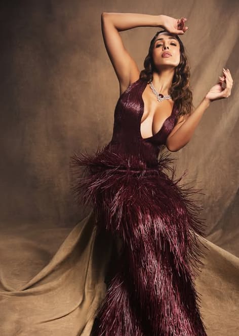 Malaika Arora looks stunning in every outfit. His pictures are very viral on social media and fans like their every act very much.