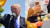 Donald Trump Chef Salary: लंच से लेकर डिनर में क्या-क्या खाते हैं अमेरिका के राष्ट्रपति डोनाल्ड ट्रंप! जानें कितनी है उनके कुक की सैलरी?