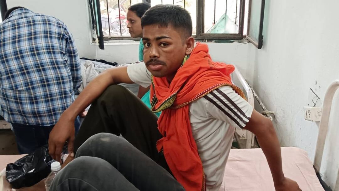 Kushinagar Bees attack during Durga immersion procession 36 people injured ann कुशीनगर में दुर्गा विसर्जन करने गए लोगों पर मधुमक्खियों का हमला, 36 लोग घायल, 1 की हालत गंभीर