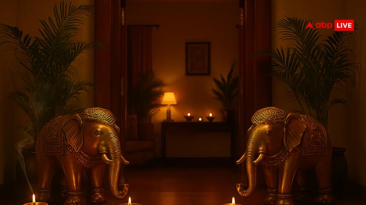 हाथियों को रक्षक का प्रतीक भी माना जाता है. इसकी मूर्ति घर में रखने से नकारात्मक ऊर्जाओं का नाश होता है. घर में हाथी की मूर्ति रखने से शक्ति और बुद्धि जैसे गुण भी प्राप्त होते हैं.