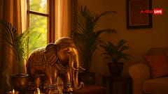 Vastu Tips: घर में हाथी की मूर्ति लक, वेल्थ और गुड वाइब्स का पॉवर कॉम्बो! जानिए इसके फायदे