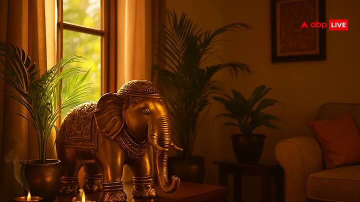 घर में हाथी की मूर्ति सौभाग्य का प्रतीक मानी जाती है. खासकर सोने,चांदी या पीतल से बनी हाथी की मूर्तियां घर में रखने से धन और समृद्धि का आगमन बना रहता है.