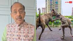 विदेशी कोच पर कुत्तों के हमले पर भड़के विजय गोयल, BJP नेता ने सुप्रीम कोर्ट को भी बताया जिम्मेदार