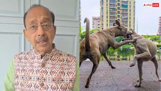 विदेशी कोच पर कुत्तों के हमले पर भड़के विजय गोयल, BJP नेता ने सुप्रीम कोर्ट को भी बताया जिम्मेदार