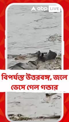 North Bengal Flood: āĻāĻžāϰ⧠āĻŦā§āώā§āĻāĻŋāϤ⧠āĻŦāĻŋāĻĒāϰā§āϝāϏā§āϤ āĻāϤā§āϤāϰāĻŦāĻā§āĻ, āĻŦāĻŋāĻĒāύā§āύ āĻŦāύā§āϝāĻĒā§āϰāĻžāĻŖāĨ¤ āĻāϞ⧠āĻā§āϏ⧠āĻā§āϞ āĻāύā§āĻĄāĻžāϰ