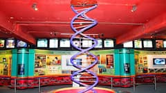 ஜாக்பாட் வேலை வாய்ப்பு உங்களுக்காக காத்திருக்கு... விபரம் உள்ளே!!!