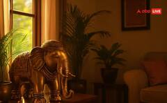 Vastu Tips: ਘਰ ਵਿੱਚ ਹਾਥੀ ਦੀ ਮੂਰਤੀ ਕਿਉਂ ਰੱਖਦੇ ਨੇ ਲੋਕ....? ਵਾਸਤੂ ਸ਼ਾਸਤਰ ਨਾਲ ਜੁੜਿਆ ਇਸ ਦਾ ਰਾਜ਼, ਜਾਣੋ ਕੀ ਮਿਲਦੇ ਨੇ ਫ਼ਾਇਦੇ