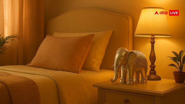 हाथी की मूर्ति को घर की उत्तर दिशा में रखने से करियर और व्यापार में तरक्की मिलती है. मुख्य द्वार पर हाथी की प्रतिमा स्थापित करने से घर में सकारात्मक ऊर्जा का संचार होता है.