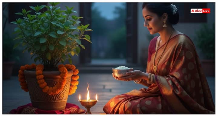 शाम के समय तुलसी की पूजा का विशेष महत्व है.  तुलसी स्थान पर गाय के घी का दीपक जलाएं और खीर का भोग अर्पित करें. इससे घर में सुख-शांति आती है, परिवार समृद्ध होता है, लक्ष्मी जी की कृपा होती है.