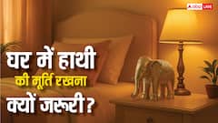 Vastu Tips: घर में हाथी की मूर्ति लक, वेल्थ और गुड वाइब्स का पॉवर कॉम्बो! जानिए इसके फायदे