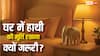 Vastu Tips: घर में हाथी की मूर्ति लक, वेल्थ और गुड वाइब्स का पॉवर कॉम्बो! जानिए इसके फायदे