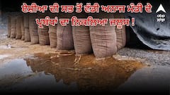 ਹੜ੍ਹਾਂ ਤੋਂ ਬਚੀ ਫਸਲ ਹੁਣ ਮੰਡੀਆਂ 'ਚ ਡੁੱਬ ਕੇ ਹੋਈ ਬਰਬਾਦ, ਏਸ਼ੀਆ ਦੀ ਸਭ ਤੋਂ ਵੱਡੀ ਅਨਾਜ ਮੰਡੀ ਦੇ ਪ੍ਰਬੰਧਾਂ ਦਾ ਨਿਕਲਿਆ ਜਲੂਸ !
