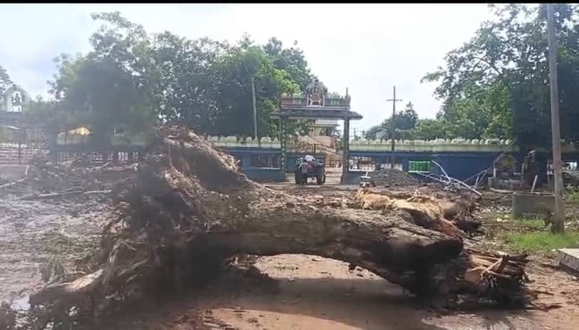 Medaram Jatara 2026: మేడారంలో గద్దెల చుట్టూ ఉన్న నిర్మాణాల కూల్చివేత ప్రారంభించిన అధికారులు