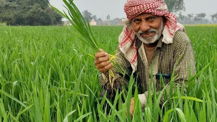 अब कई किसान 21वीं किस्त का इंतजार कर रहे हैं. लेकिन सभी इसके पात्र नहीं होंगे. कुछ किसानों के खाते में किस्त नहीं जाएगी. क्योंकि उनके दस्तावेज पूरी तरह अपडेट नहीं हैं. ऐसे किसानों को यह काम करने की जरूरत है. जिससे उन्हें योजना का लाभ मिल सके.