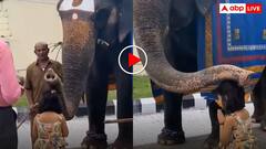 नन्ही बच्ची ने हाथी को झुककर किया प्रणाम तो गजराज ने बुजुर्गों की तरह दे डाला आशीर्वाद- वीडियो वायरल