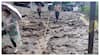 6 Dead As Massive Landslide Hits Darjeeling, Villages Cut Off After Bridge Collapse