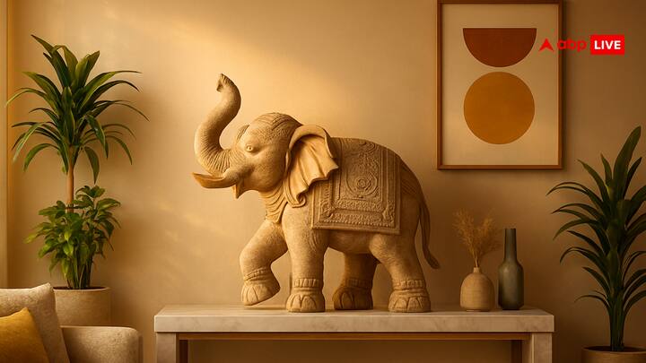 वास्तु शास्त्र के अनुसार सूंड ऊपर वाले हाथी की प्रतिमा जीवन में समृद्धि और सौभाग्य लाता है, जबकि सूंड नीचे वाले हाथी शांति और धैर्य का प्रतीक माने जाते हैं.