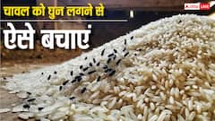 चावल में कभी नहीं पड़ेंगे घुन, ये तरीके करेंगे आपकी मदद