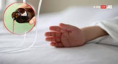 चिंताजनक! मेंदूज्वर सदृश्य संशयित आजाराचा धोका वाढला; नागपुरात मृत बालकांचा आकडा 10 वर, NIV रिपोर्ट कधी येणार?