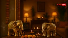 Vastu Tips: घर में हाथी की मूर्ति लक, वेल्थ और गुड वाइब्स का पॉवर कॉम्बो! जानिए इसके फायदे