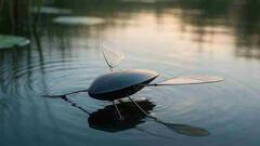 कमाल की खोज! आ गया पानी में चलने वाला रोबोट, ऐसी टेक्नोलॉजी जिसे देख आपके भी उड़ जाएंगे होश