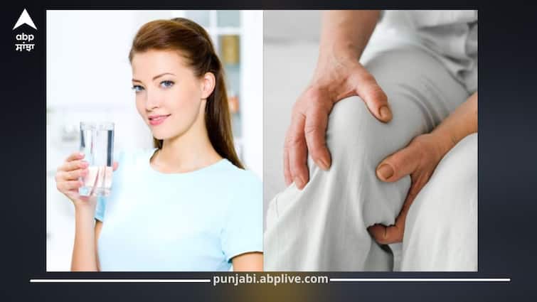 ਖੜ੍ਹੇ ਹੋ ਕੇ ਪਾਣੀ ਪੀਣਾ ਨਾਲ ਕੀ ਸੱਚਮੁੱਚ ਗੋਡਿਆਂ 'ਤੇ ਪੈਂਦਾ ਅਸਰ? ਇੱਥੇ ਜਾਣੋ ਸਿਹਤ ਮਾਹਿਰ ਤੋਂ ਸਹੀ ਰਾਏ
