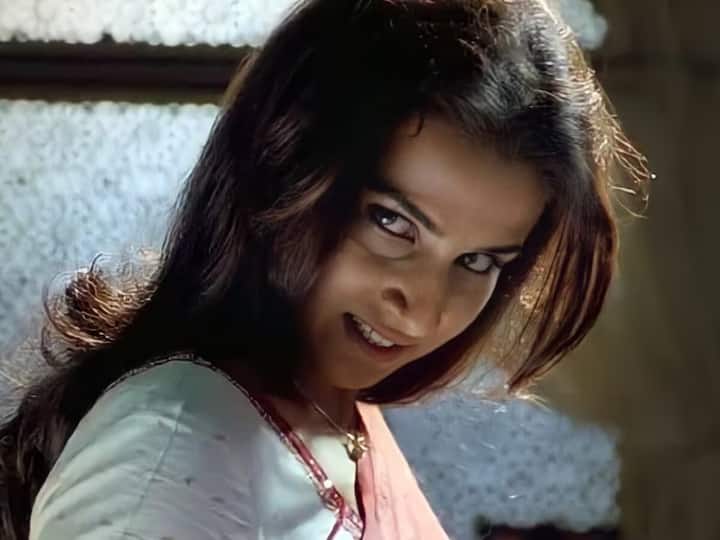 पावरहाउस परफॉर्मर विद्या बालन को 'भूल भुलैया' (2007) में मंजुलिका के रूप में उनके रोंगटे खड़े कर देने वाले एक्टिंग के लिए याद किया जाता है. पिछले साल वे 'भूल भुलैया 3' में लौटीं और एक बार फिर  नेगेटिव शेड्स में अपनी दमदार परफॉर्मेंस से फैंस को खुस  कर दिया. अपनी इंटेंस एक्टिंग से विद्या ने साबित किया कि क्यों उन्हें भारत की बेस्ट एक्ट्रेस में गिना जाता है.