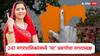 Maharashtra Nagarparishad Nagradhyaksha Reservation : 247 नगरपरिषदांच्या नगराध्यक्षपदाचं आरक्षण जाहीर, कोणत्या ठिकाणी कोणत्या प्रवर्गाचा नगराध्यक्ष, संपूर्ण यादी