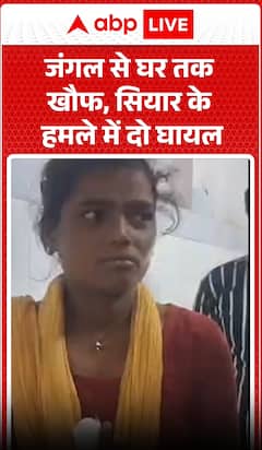 Fear Grips Locality as Two Injured in Jackal Attack