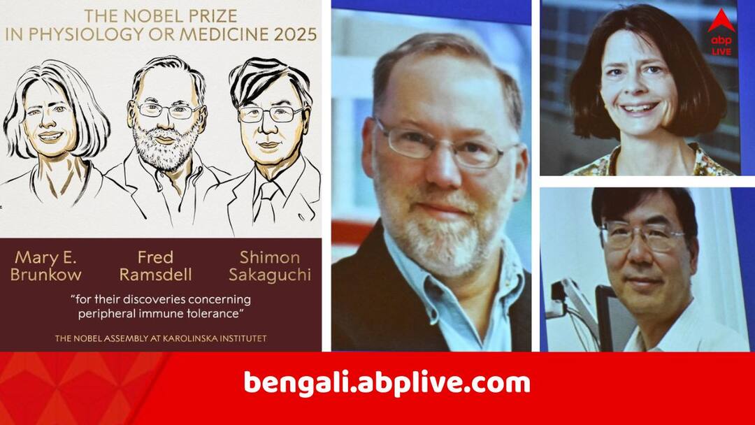 Nobel Prize: মারণ রোগের চিকিৎসায় ইমিউনো থেরাপি নিয়ে যুগান্তকারী আবিষ্কার ! নোবেল পাচ্ছেন আমেরিকা-জাপানের ৩ বিজ্ঞানী Nobel Prize 2025 For Medicine three Scientist Mary Brunkow Fred Ramsdell Shimon Sakaguchi awarded for human immune system Nobel Prize: মারণ রোগের চিকিৎসায় ইমিউনো থেরাপি নিয়ে যুগান্তকারী আবিষ্কার ! নোবেল পাচ্ছেন আমেরিকা-জাপানের ৩ বিজ্ঞানী
