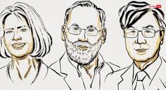 इम्यून सिस्टम से जुड़ी खोज करने के लिए ब्रूनको, रैम्सडेल और साकागुची को मिला मेडिसन का नोबेल पुरस्कार