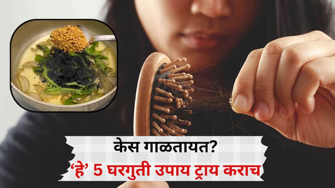 hair fall not stopping try these 5 home remedies with fenugreek seeds today सगळे उपाय झाले तरी केस गळणं थांबत नाहीय? मेथी बियांसह हे घरगुती 5 उपाय आजच ट्राय करा