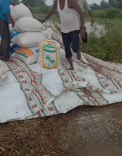 काढलेले सोयाबीन रात्री शेतात ठेवले होते, पहाटे मुसळधार पाऊस झाल्यामुळे सोयाबीन भिजले. शेतकरी काढून ठेवलेले सोयाबीन वाचवण्यासाठी धडपड करत होते.