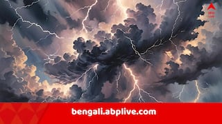 Weather update: পড়বে বাজ, ৩০-৪০ কিমি বেগে ঝোড়ো হাওয়া, দুর্যোগের মধ্যেই ফের বর্ষণের হলুদ সতর্কতা রাজ্যের ১৭ জেলায় !
