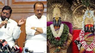Pandhapur Kartiki Ekadashi 2025: राज्यात 2 उपमुख्यमंत्री, कार्तिकीची पूजा कोण करणार?; पंढरपूरच्या विठ्ठल मंदिर समितीपुढे प्रश्न, मागची काही वर्ष कोणी पुजा केली?