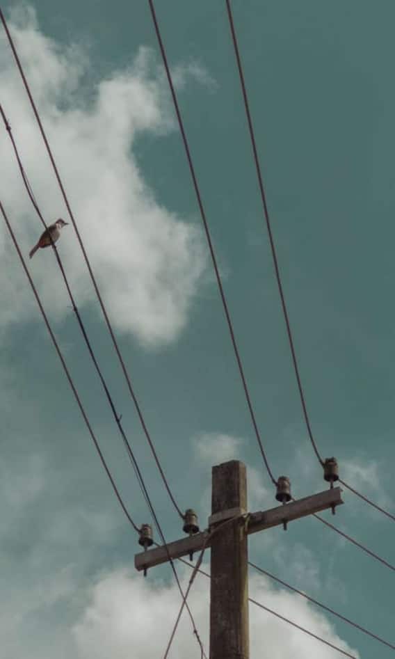 ये टिप्स आजमा लिए तो कम आएगा बिजली का बिल