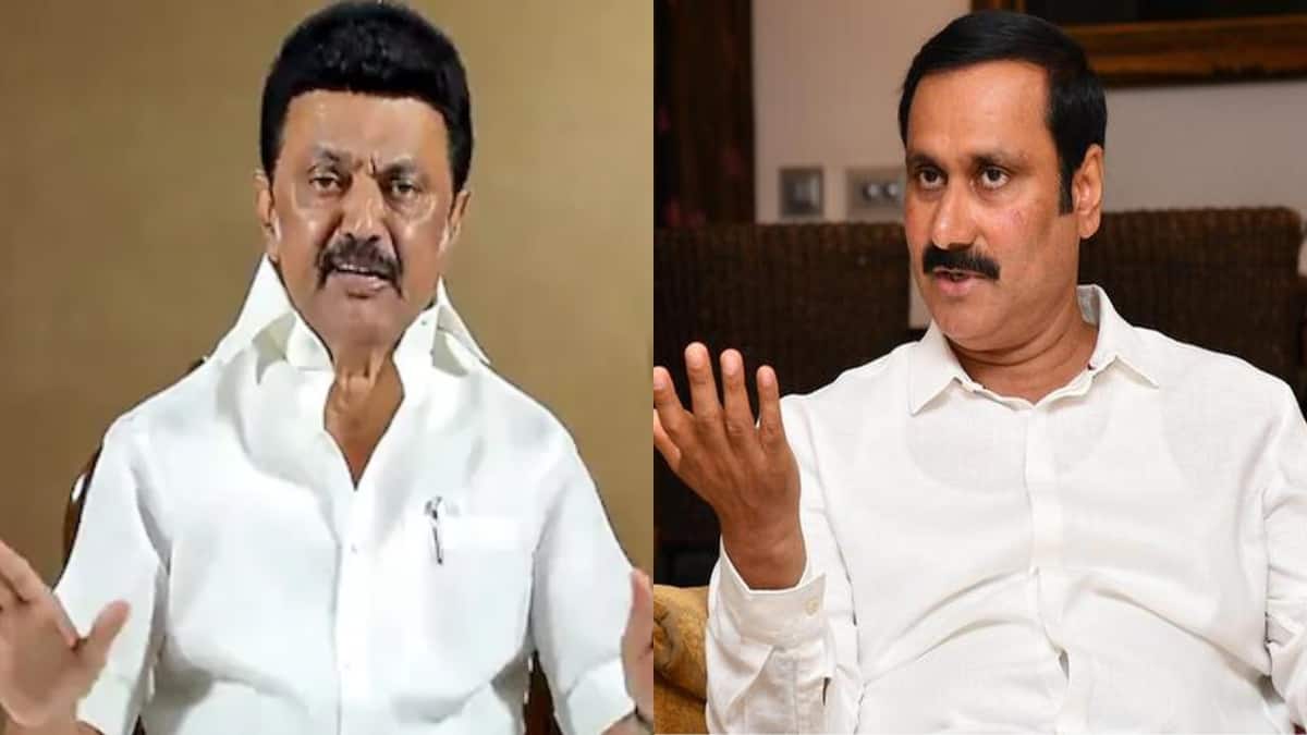திமுக நிறைவேற்றாத 439 வாக்குறுதிகளையே தேர்தல் அறிக்கையாக்கலாம்- பட்டியலிட்ட அன்புமணி