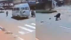 Tempo Traveller Overturns While Saving Woman Crossing Road In Karnataka: WATCH